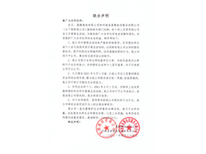 联合声明